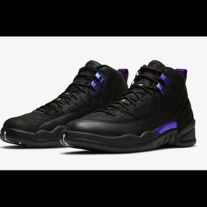 Jordan 12 Dark Concord size 12